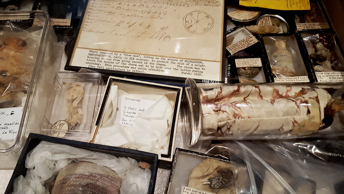 Assortment of objects with handwritten labels displayed in glass cabinets in The Pitt Rivers Museum